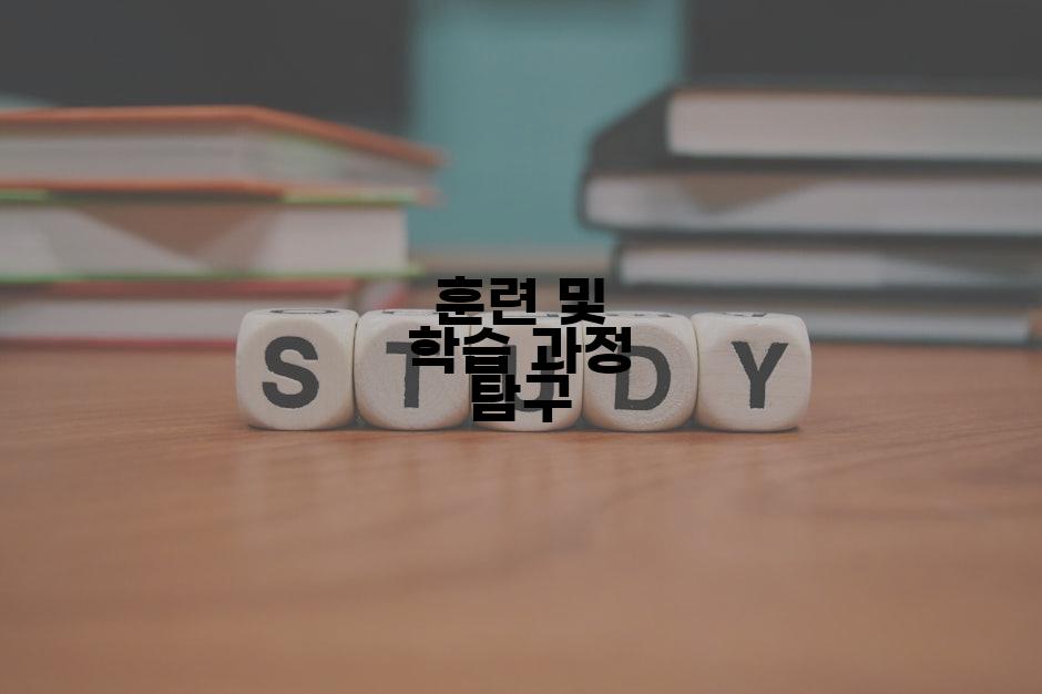 훈련 및 학습 과정 탐구