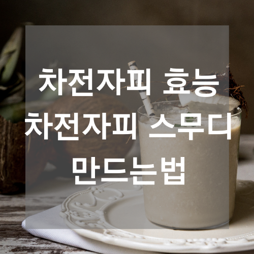 차전자피 효능