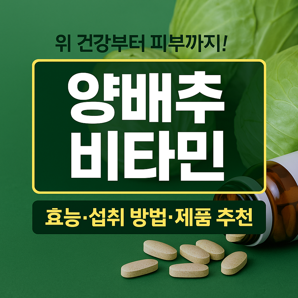 위에 좋은 양배추 비타민 섭취방법과 보관방법