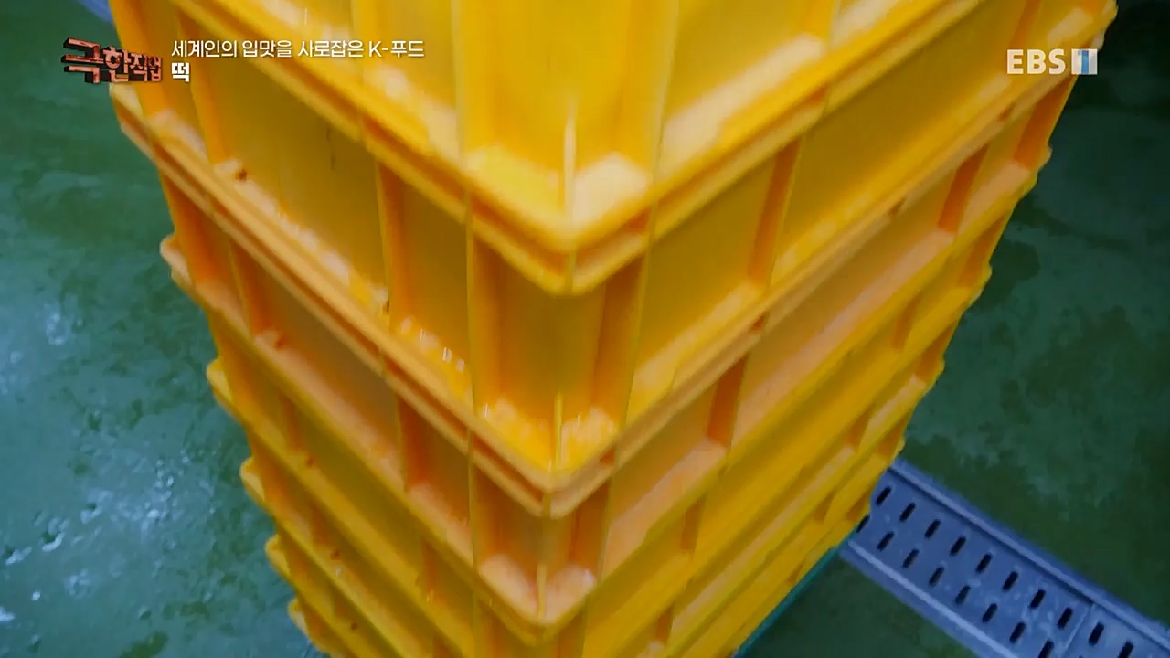 TV - 교육의 중심 EBS세계인의 입맛을 사로잡은 K-푸드.mp4_20230211_183510.365.jpg