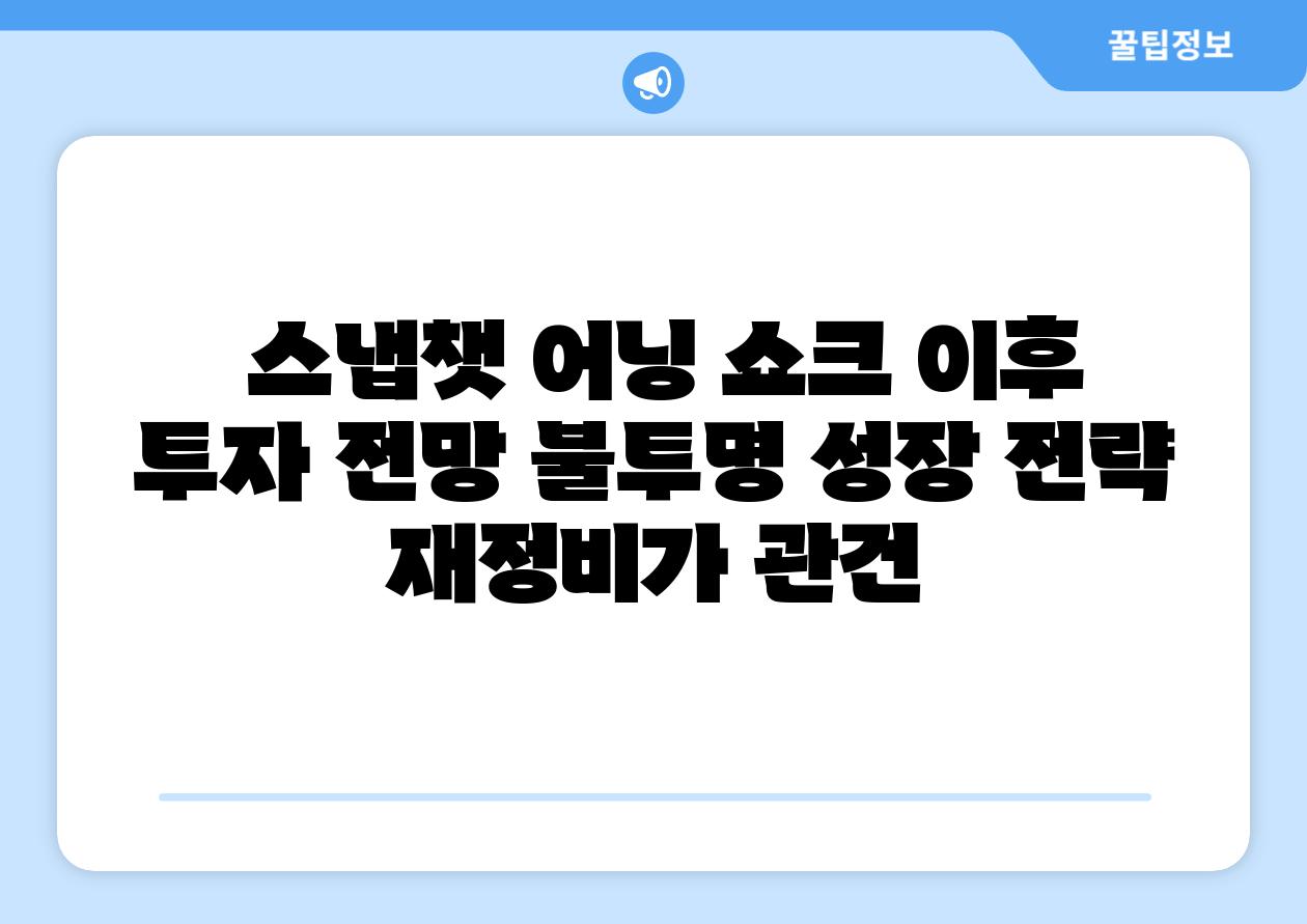  스냅챗 어닝 쇼크 이후 투자 전망 불투명 성장 전략 재정비가 관건
