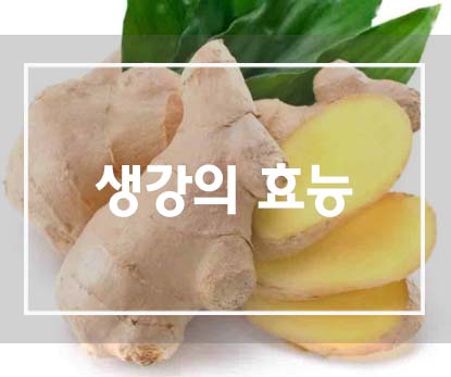  감기에 효과있는 '생강의 효능'