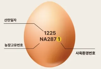 계란에 적힌 번호가 정확히 뭘까 계란 난각번호 4번 제대로 알고 먹고 있나요_6