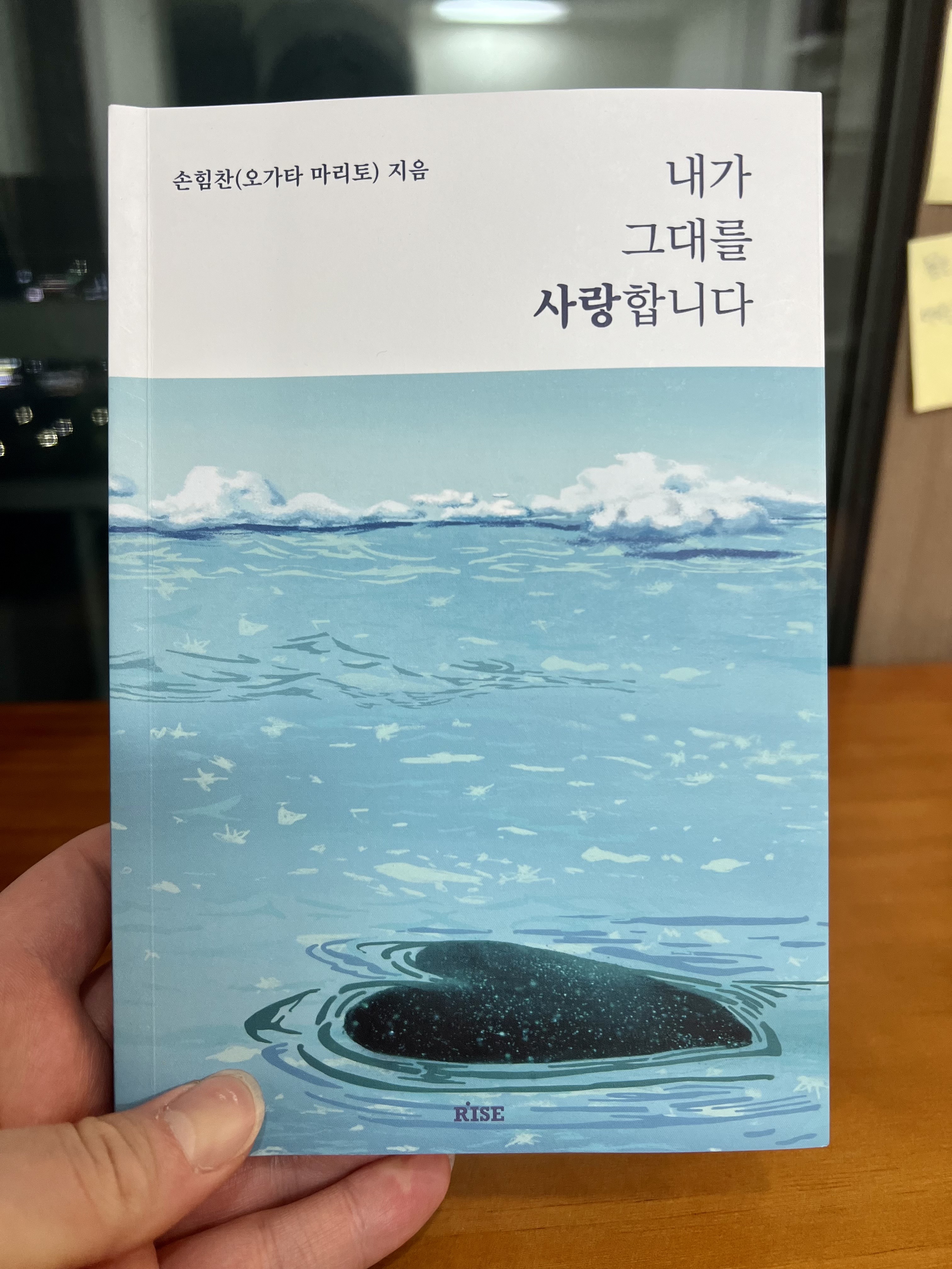  내가 나를 사랑하기까지 ,손힘찬 <내가 그대를 사랑합니다>