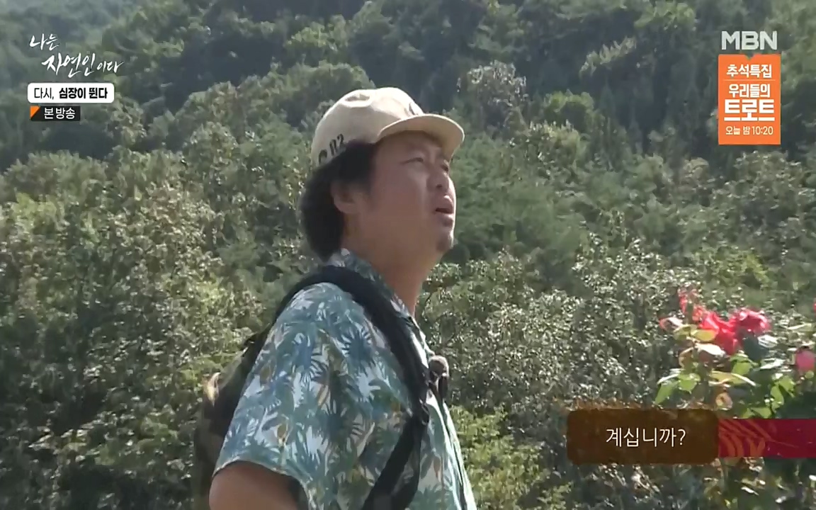 나는 자연인이다.E519.220915p-NEXT.mp4_20220915_201133.135.jpg