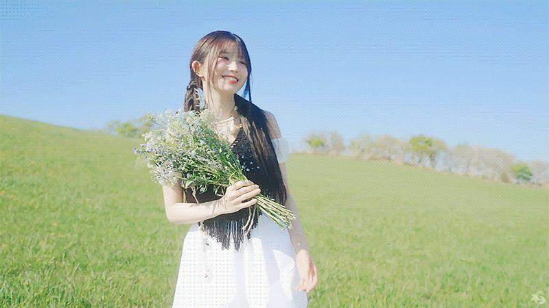 img.gif
