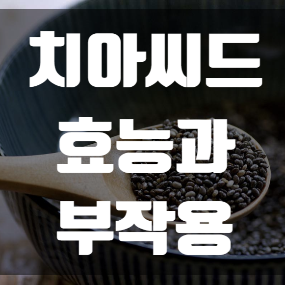  치아씨드효능과 부작용을 알아보자
