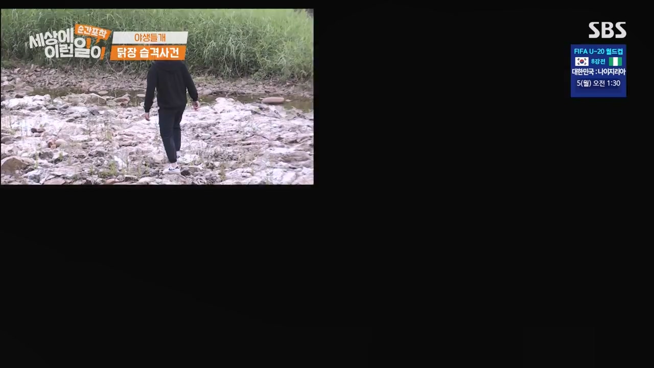 순간포착 세상에 이런일이.E1231.230604p-NEXT.mp4_20230609_202236.001.jpg