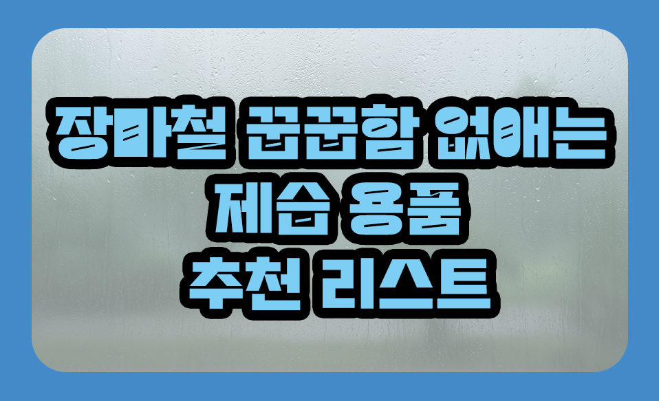 제습 용품 추천 리스트