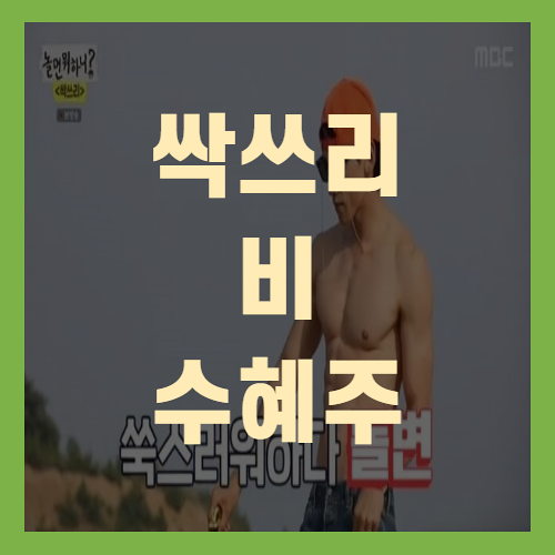  놀면뭐하니 싹쓰리 이효리 시작 마무리는 비(+이효리구박)