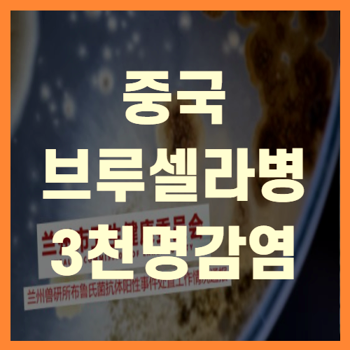  중국 브루셀라병 백신유출 3천명 집단감염(+총정리)