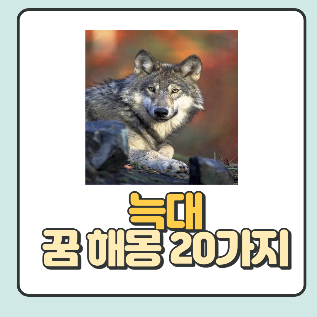  늑대 꿈 해몽 20가지 총 정리: 본능적인 욕구