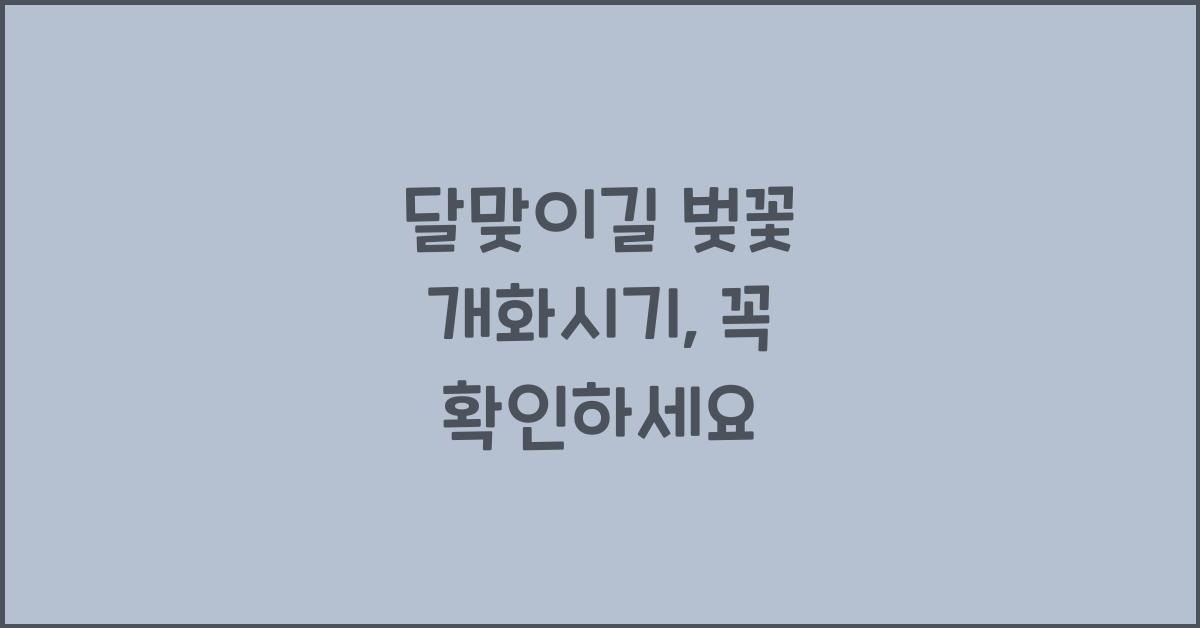 달맞이길 벚꽃 개화시기