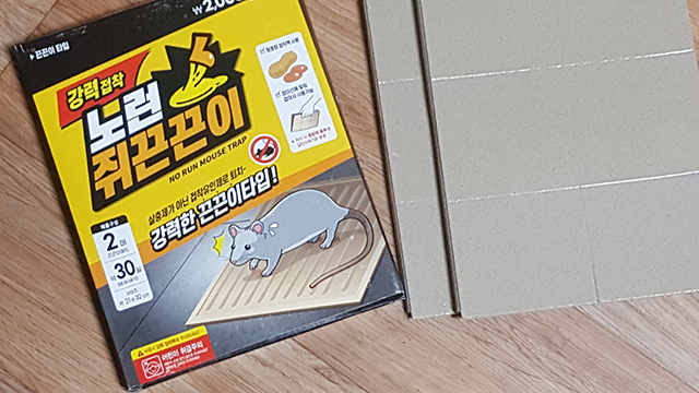 쥐 퇴치법 , 다이소 쥐 끈끈이 활용법