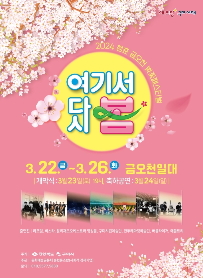 2025 벚꽃 개화시기 경북 청춘 금오천 벚꽃 페스티벌