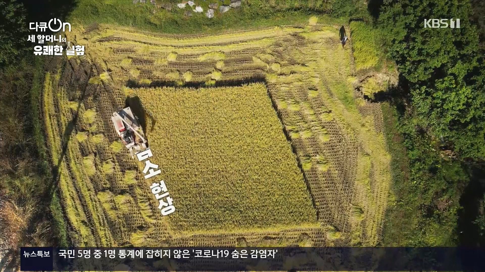 다큐 On.E166.221028p.H264-F1RST.mp4_20221031_194209.040.jpg