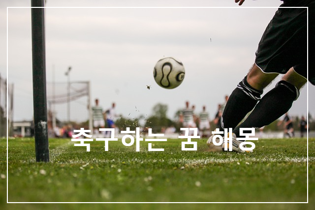 축구하는 꿈의 의미와 상황 별 꿈 해몽