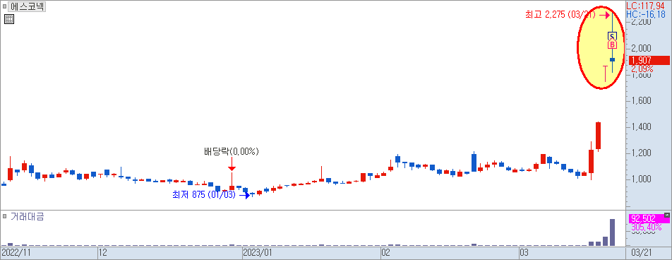 에스코넥 일간차트