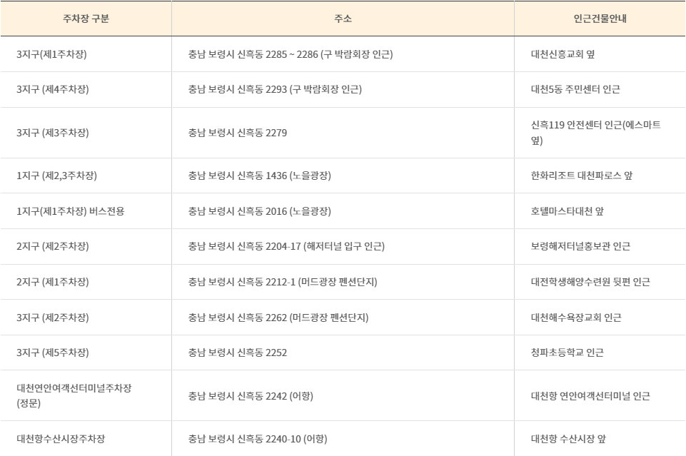 보령머드축제