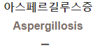  아스페르길루스증 [Aspergillosis]