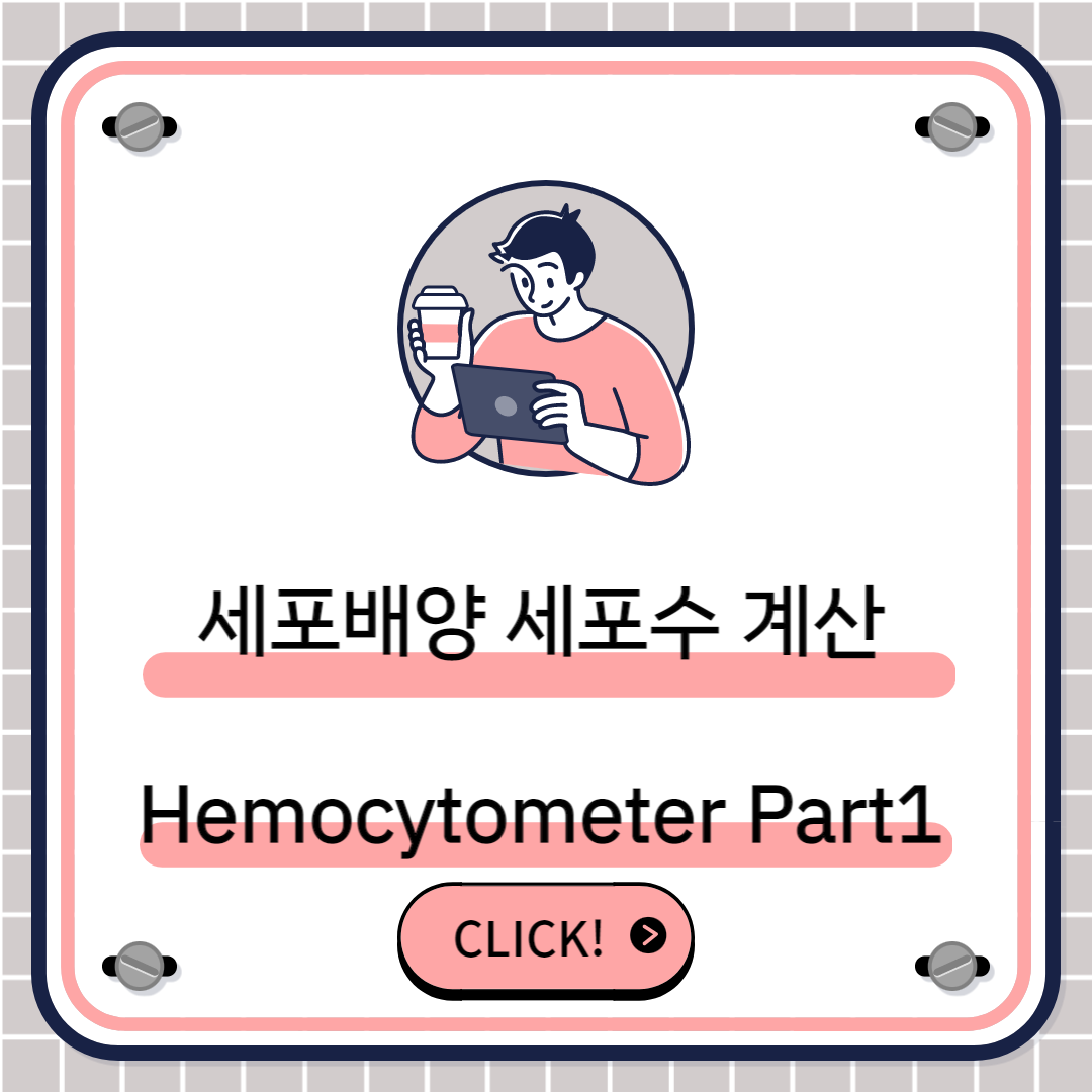 세포배양 세포수 계산 Cell counting&#44; Hemocytometer 썸네일