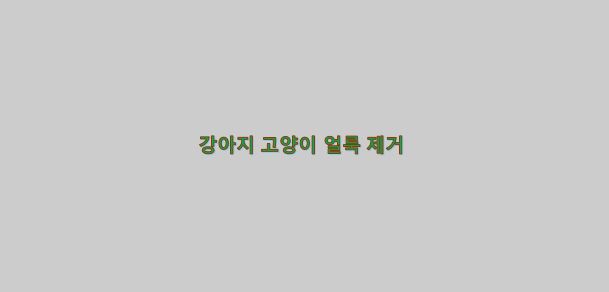  애완동물 강아지, 고양이 얼룩 제거