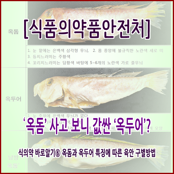  [식품의약품안전처] ʻ옥돔ʼ 사고 보니 값싼 ʻ옥두어ʼ?