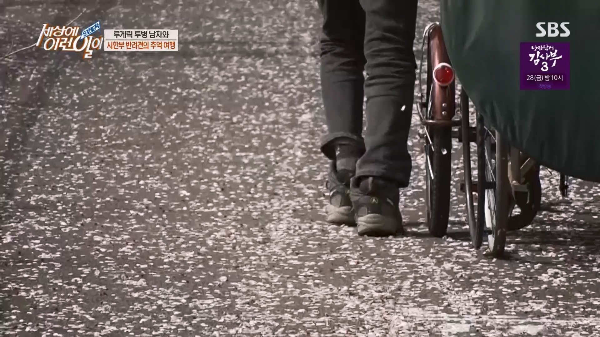 순간포착 세상에 이런일이.E1226.230418p.H264-F1RST.mp4_20230419_195513.737.jpg