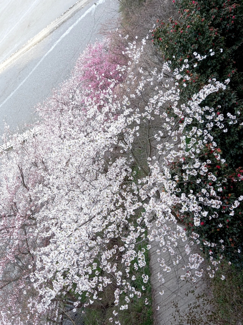 img.jpg