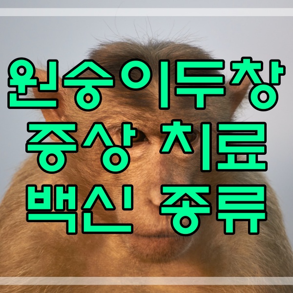  원숭이두창 감염원인 증상 백신 치료제 종류 186