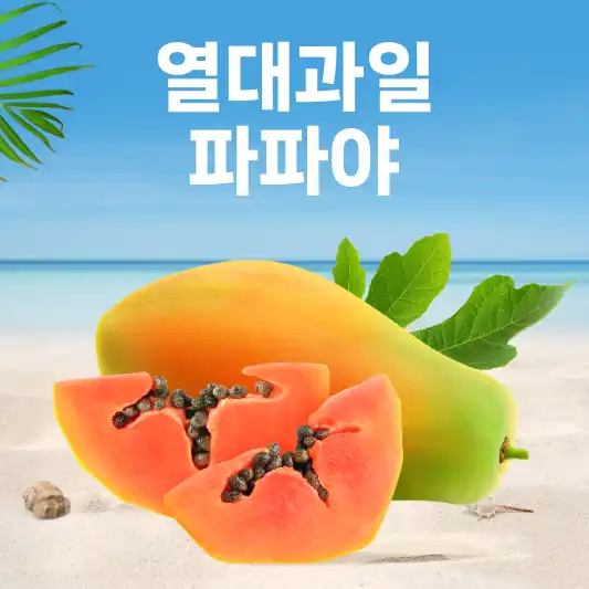 파파야