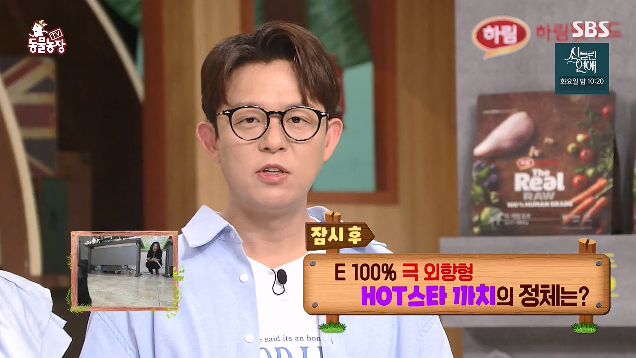 TV 동물농장.E1177.240624p-NEXT.mp4_20240623_163731.137.jpg