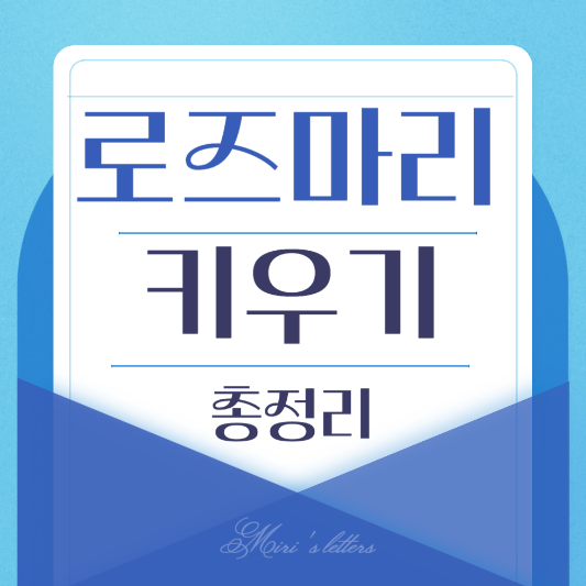  로즈마리 키우기 : 초보자를 위한 실전 가이드