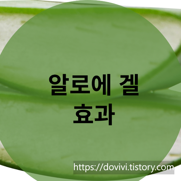  알로에 겔 효과 및 알로에 베라 겔 개발 스토리