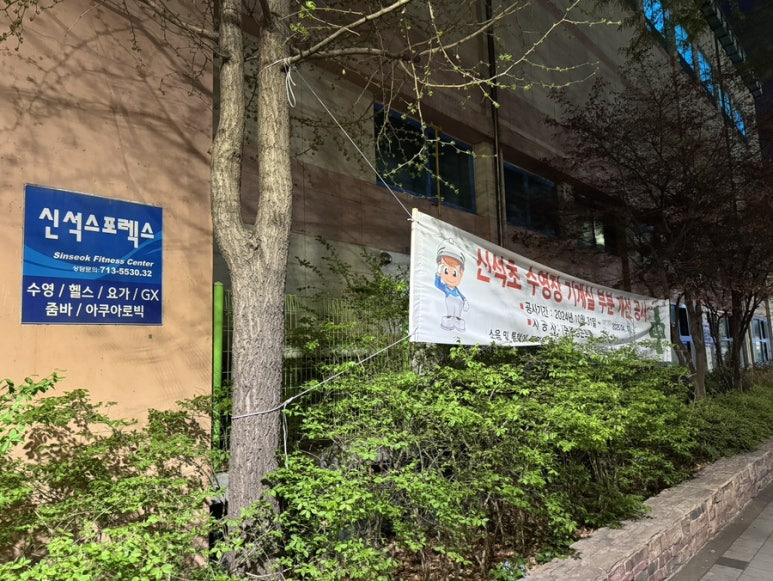 신석 이미지