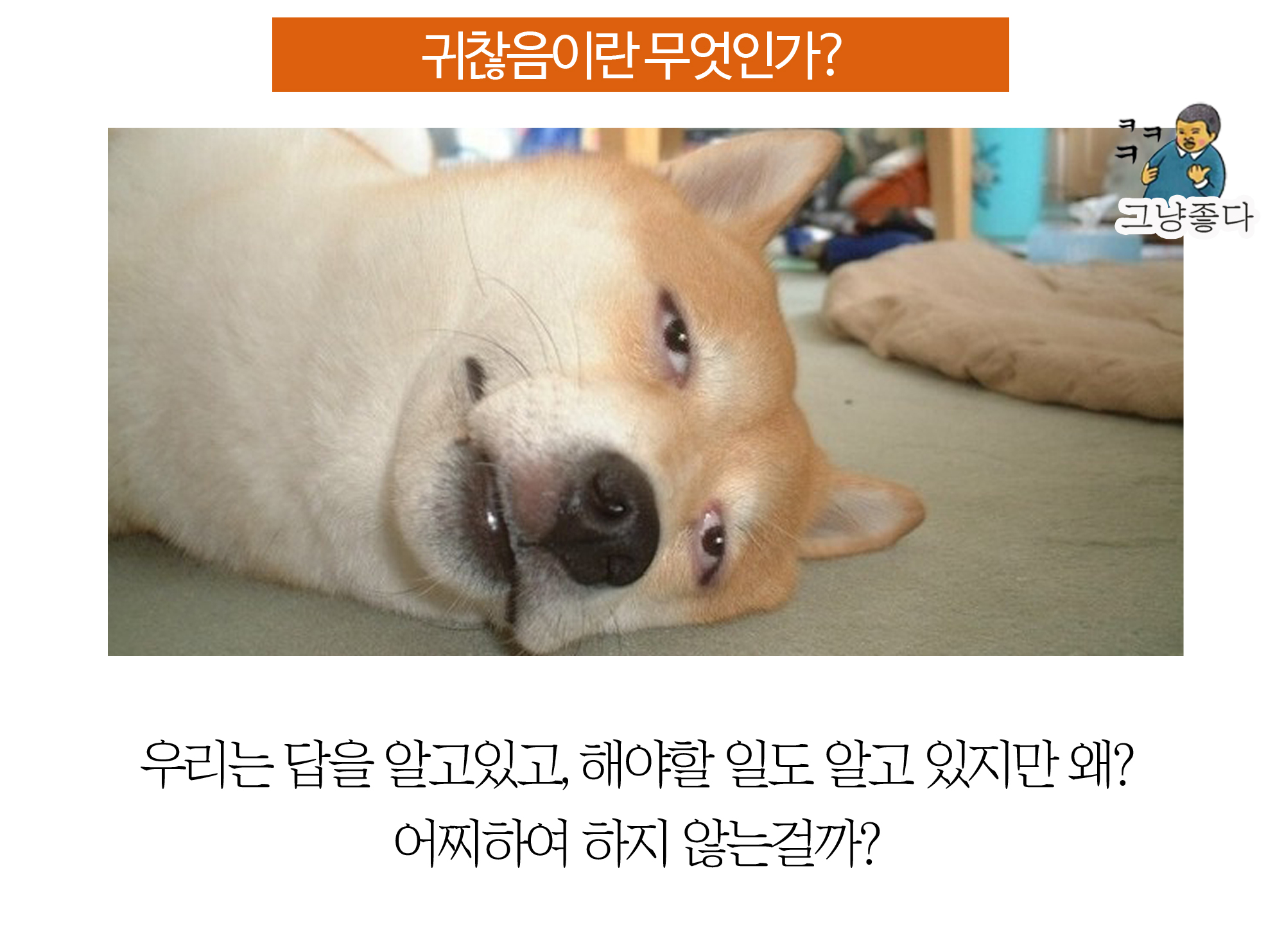  새로운 내일