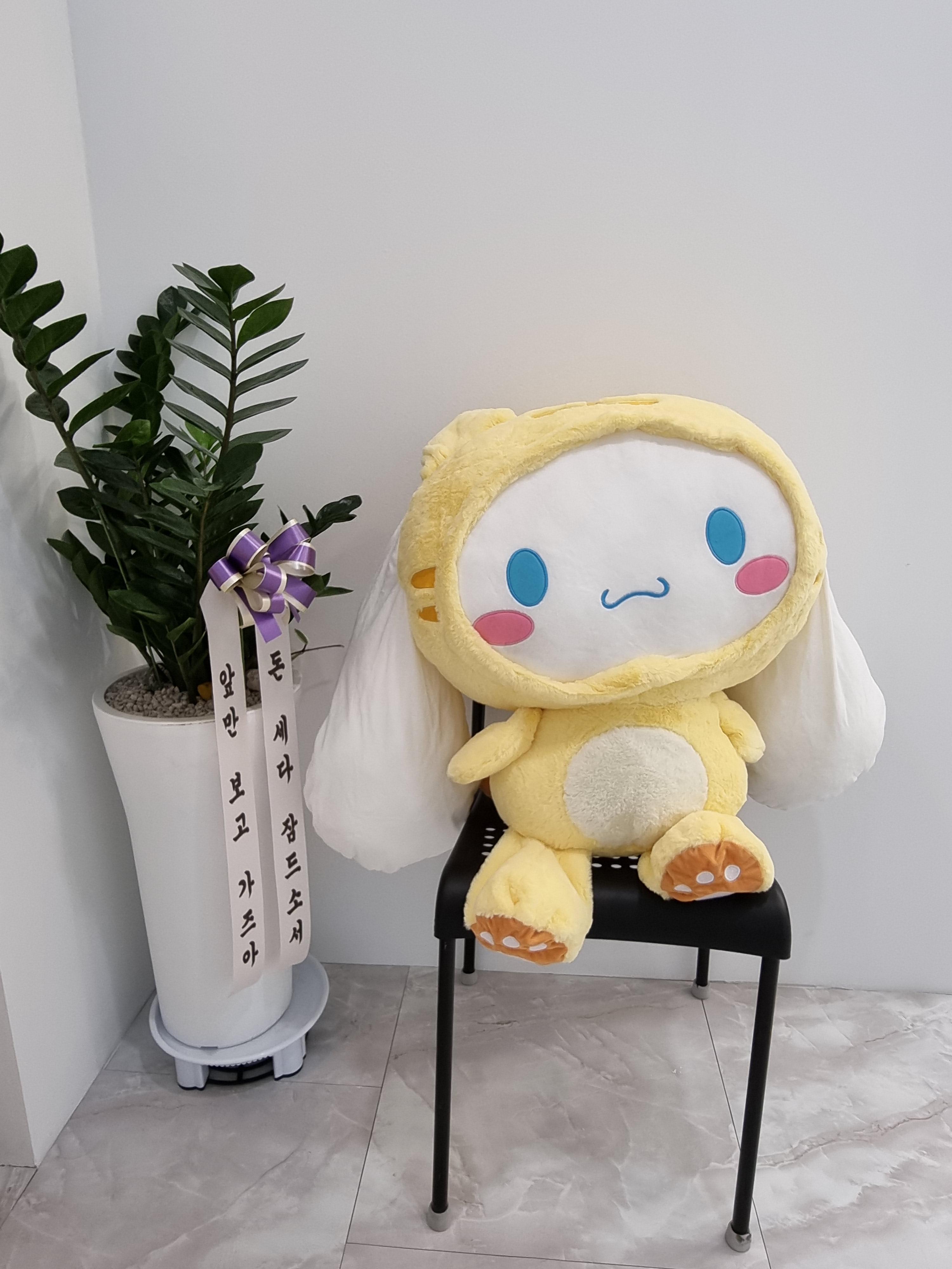 뷰티스 이미지