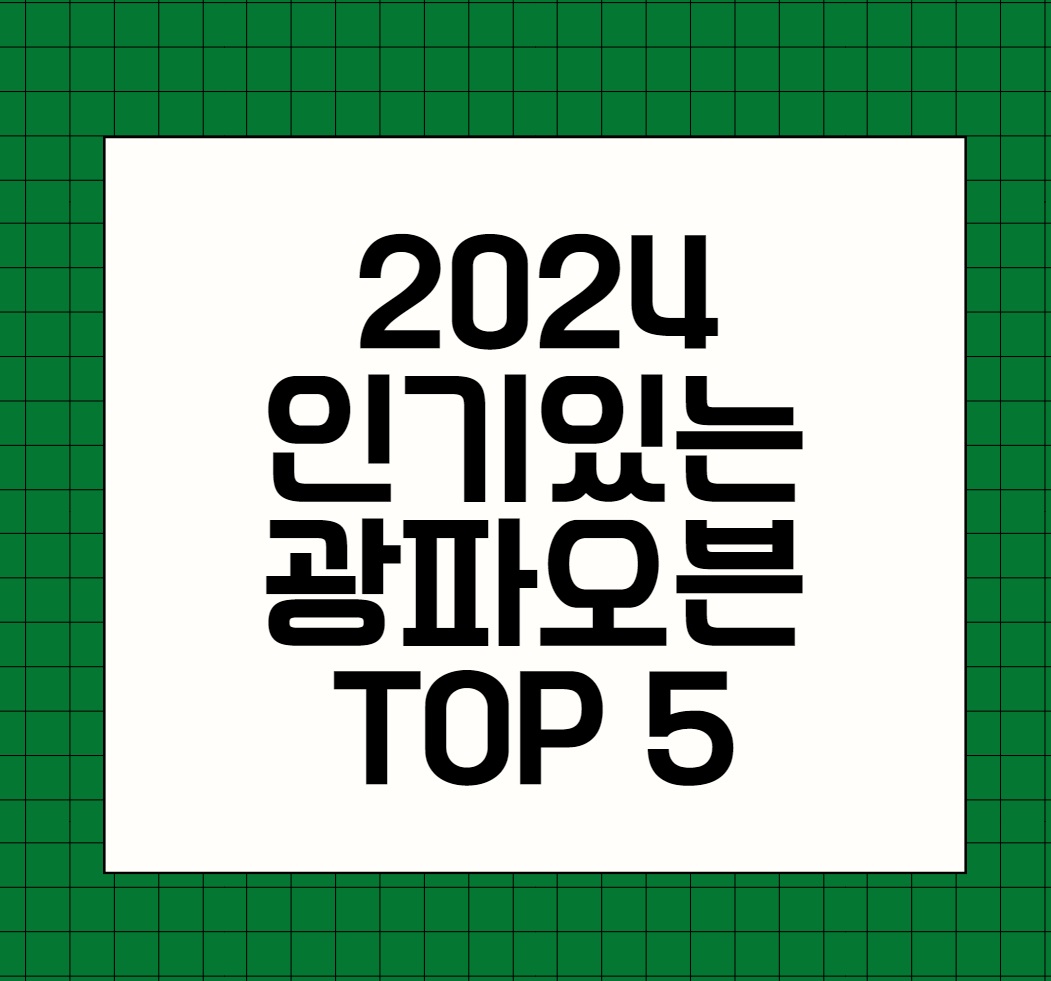 2024년 인기있는 광파오븐 추천