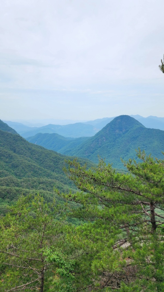 칠보산-정상에서-바라본-속리산