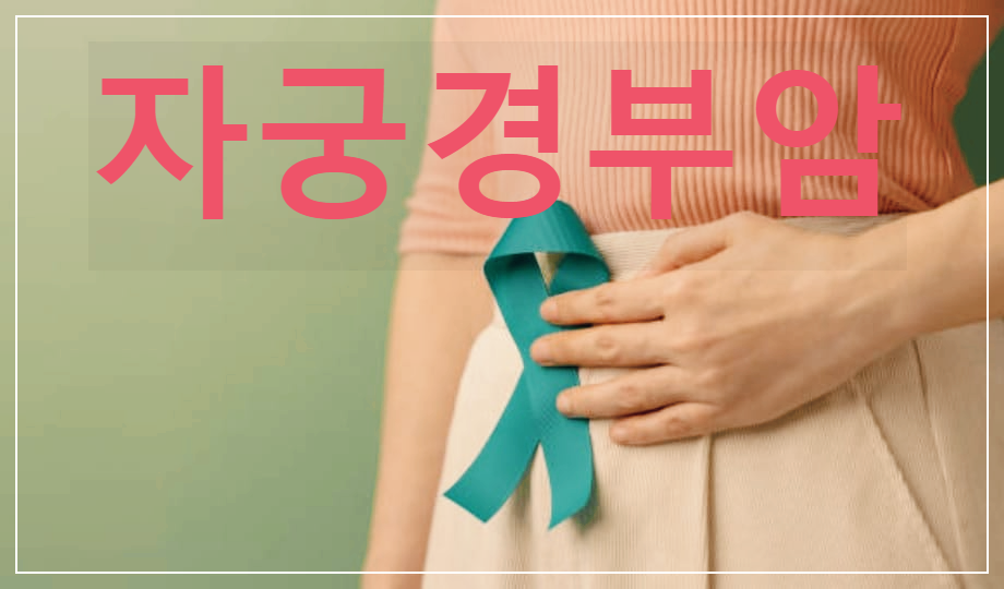  자궁경부암 : 자궁 입구인 자궁 경부에 발생한 암