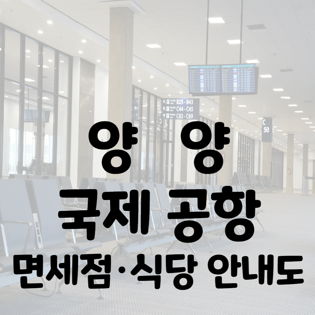 양양공항