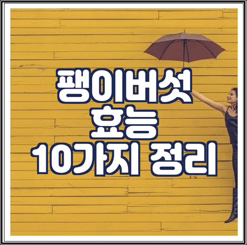  팽이버섯 효능 10가지 정리