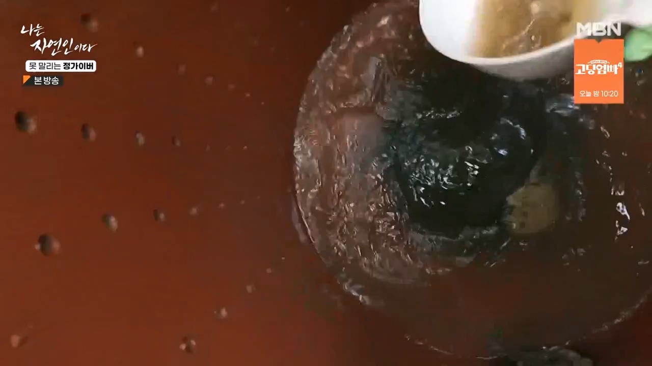 나는 자연인이다.E580.231116p-NEXT.mp4_20231116_202506.791.jpg