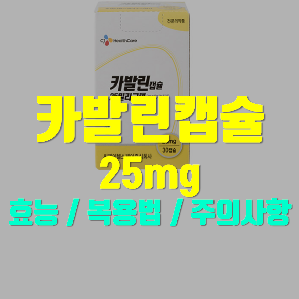  카발린 캡슐25mg 의약품 정보