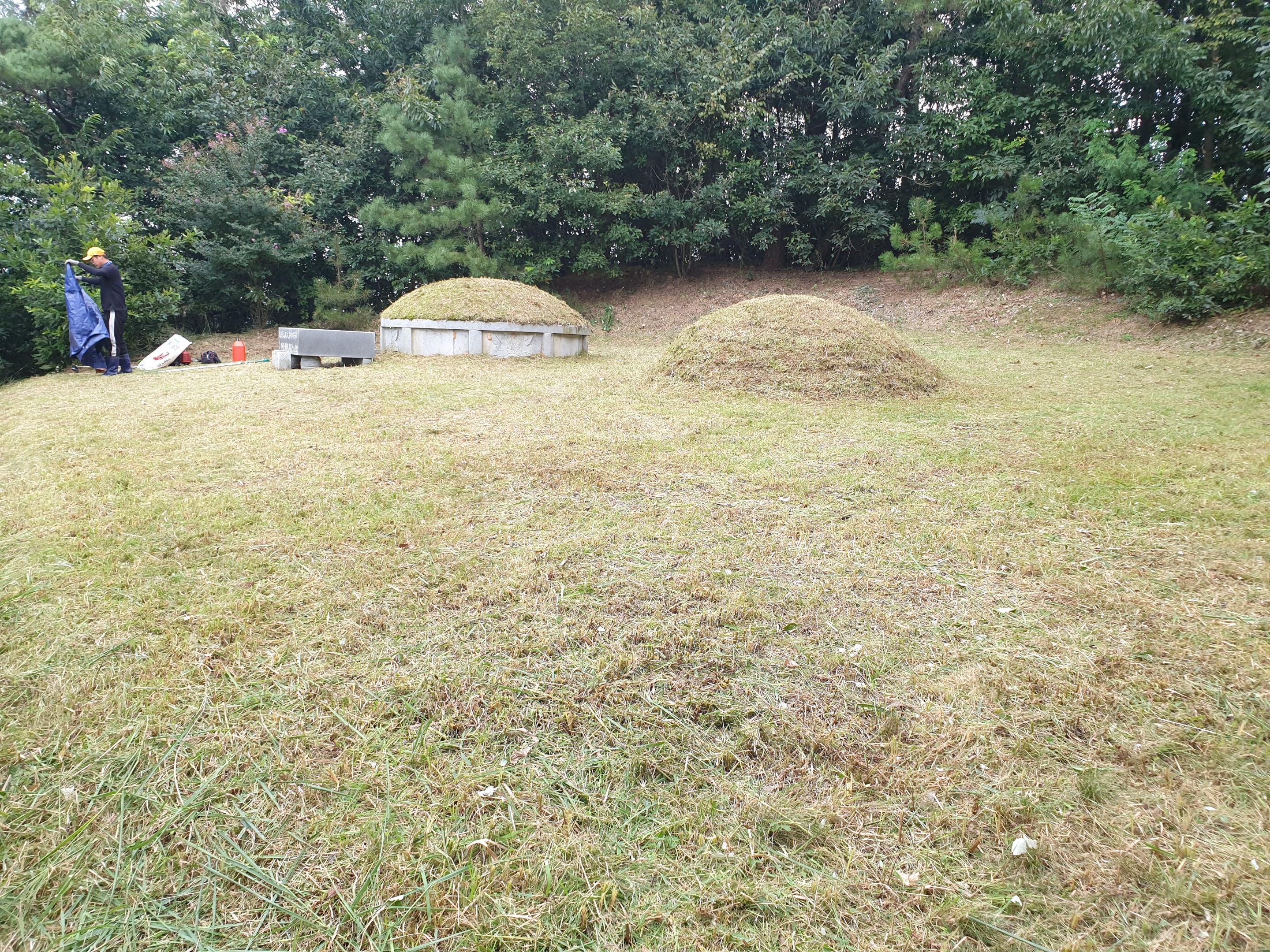  정읍시 용계동 벌초