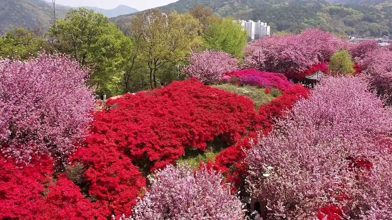 전주 완산칠봉 꽃동산 등산로 벙커 코스_9