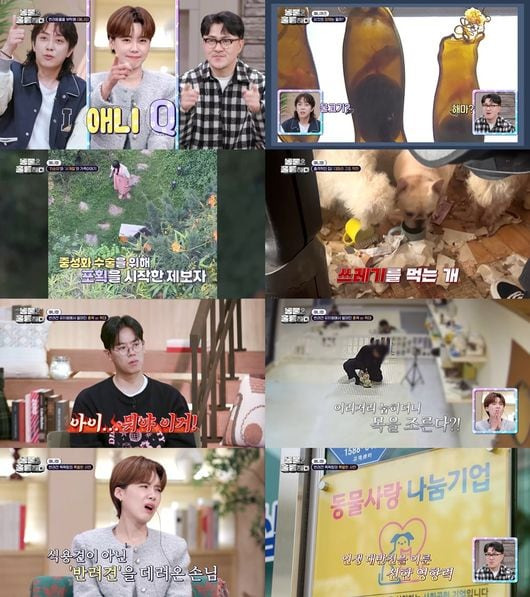 식용견 업자 반려견 목욕탕 운영으로 바뀐 멋진 사연