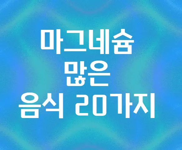 마그네슘-많은-음식