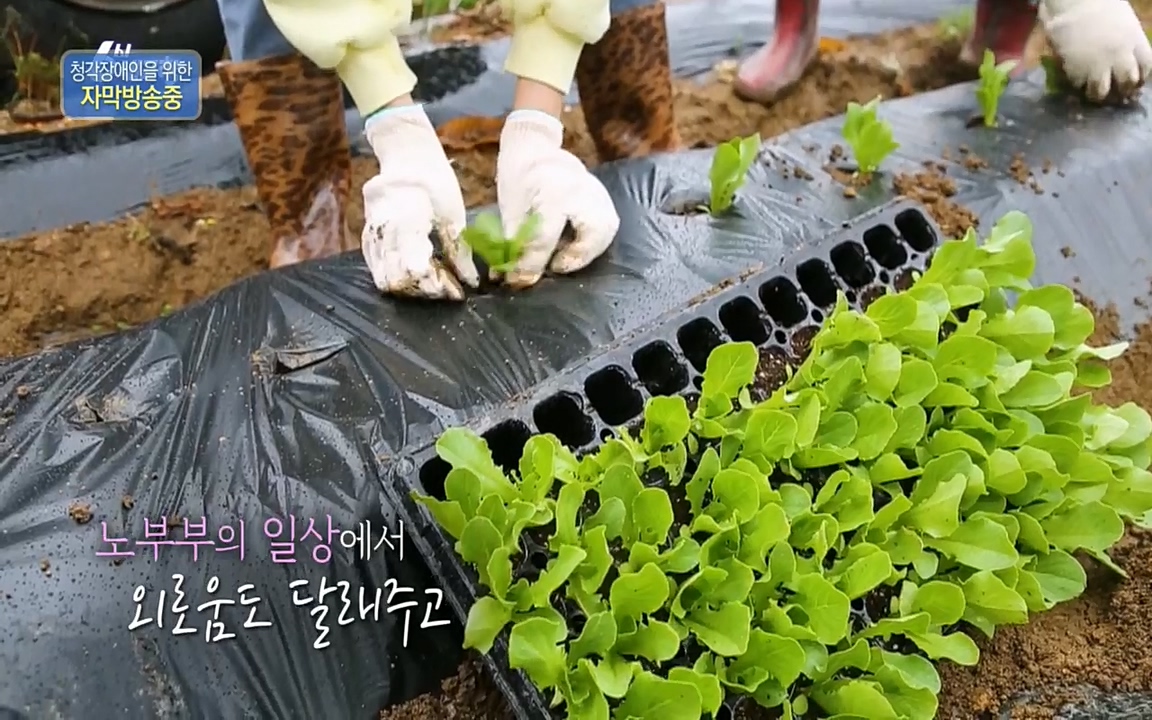 6시 내고향.E7518.220426p.H264-F1RST.mp4_20220504_192754.214.jpg
