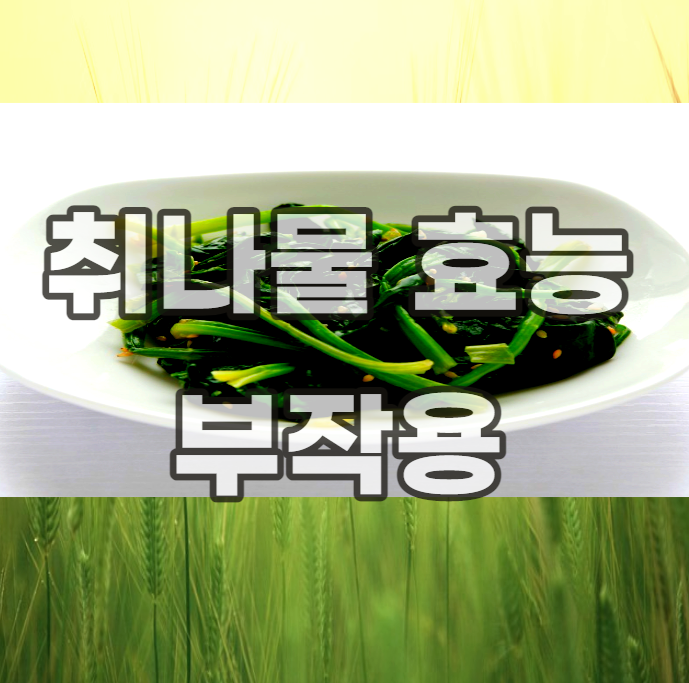 취나물-효능-부작용-무침-볶음